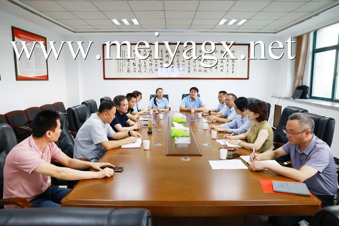 ���Ǹ����뻴��ʦ